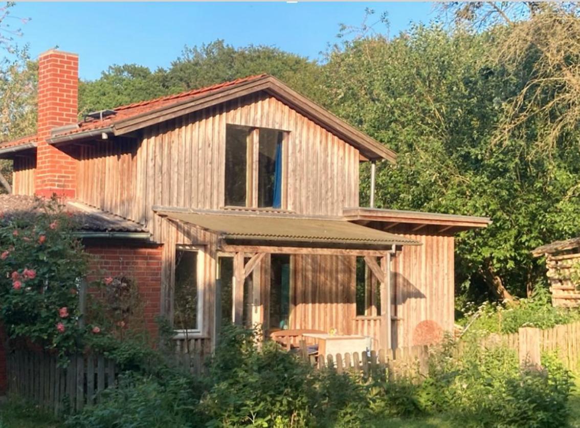 Natur Kunst Ferienhaus Neu Darchau Zewnętrze zdjęcie